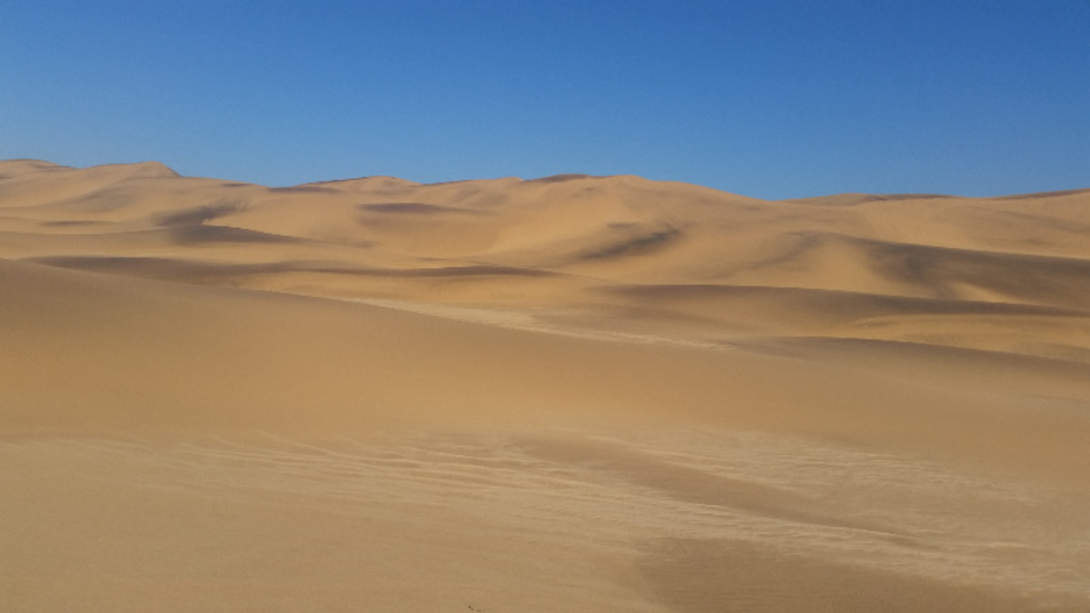 Namibia: Sanddünen der Namib bei Swakopmund