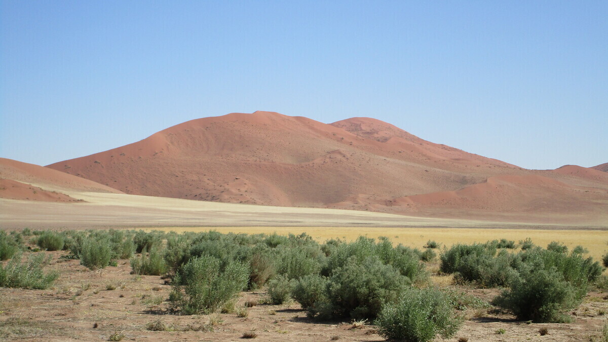 Namibia: Namib - Sossusvlei - die höchsten Dünen der Welt