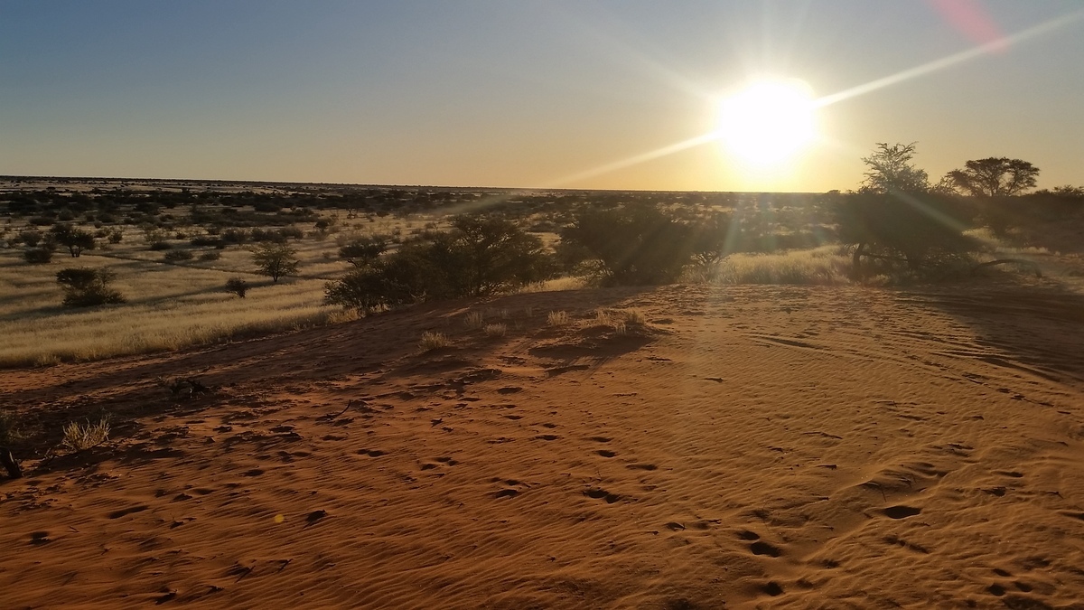 Namibia: Kalahari