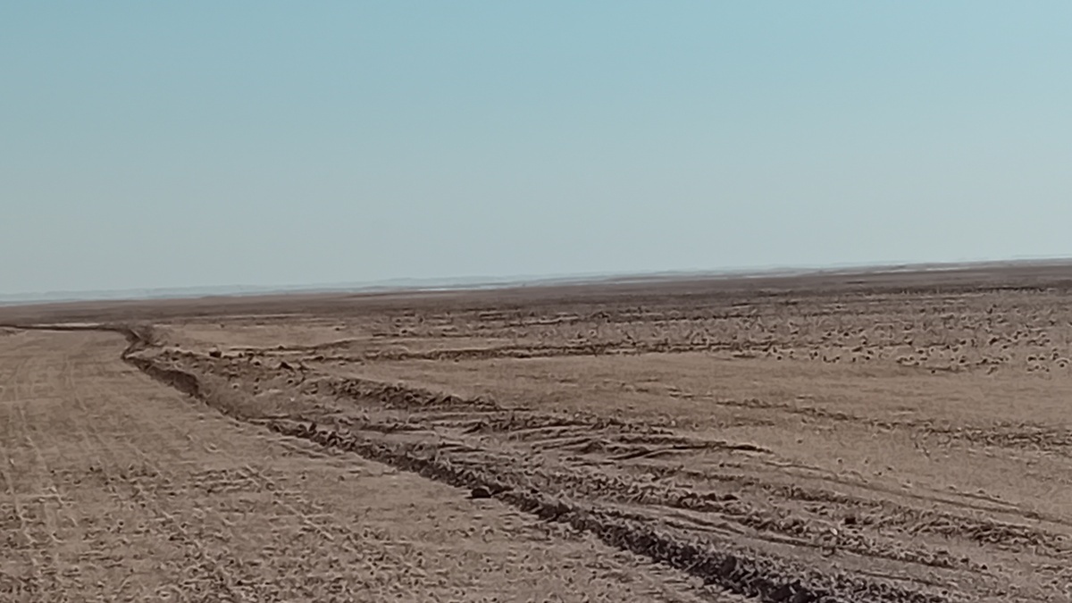 Namibia: Namib – towards Gobabeb (desert research station)