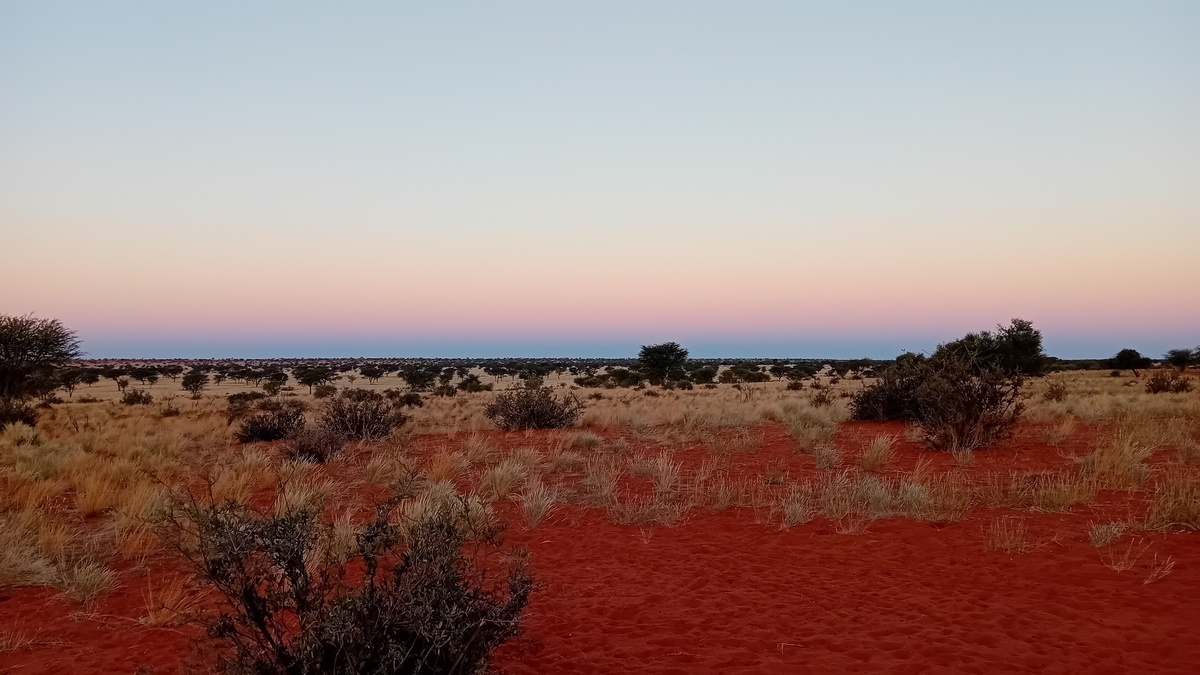 Namibia: Kalahari im „Kuzikus“ kurz nach Sonnenuntergang