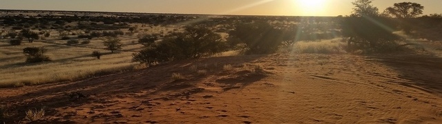 Namibia: Kalahari