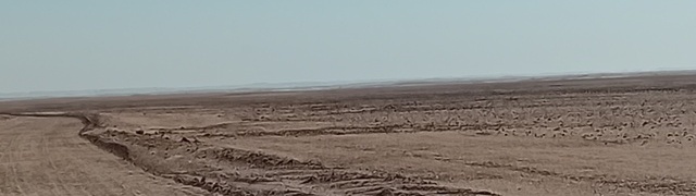 Namibia: Namib – towards Gobabeb (desert research station)