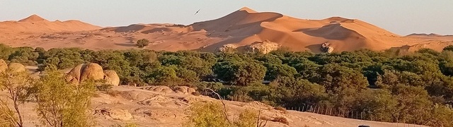 Namibia: Namib – Gobabeb (desert research station) with the dried-up Kuiseb River