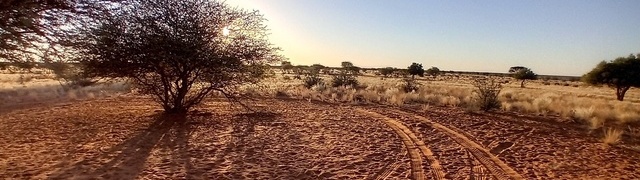 Namibia: Kalahari in 'Kuzikus'