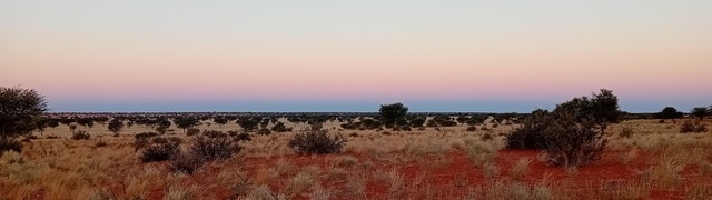 Namibia: Kalahari im „Kuzikus“ kurz nach Sonnenuntergang